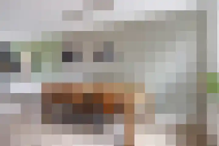 Garonnelaan 11 Eindhoven thumbnail 12