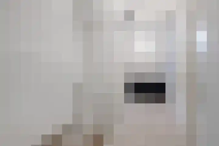 Garonnelaan 11 Eindhoven thumbnail 28
