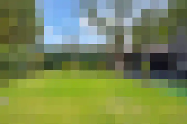 Garonnelaan 11 Eindhoven thumbnail 35