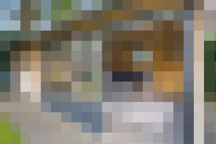 Garonnelaan 11 Eindhoven thumbnail 39