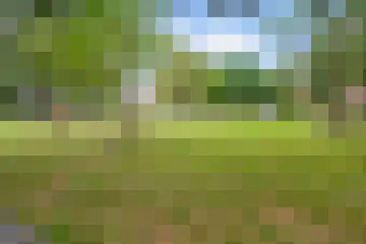 Garonnelaan 11 Eindhoven thumbnail 42
