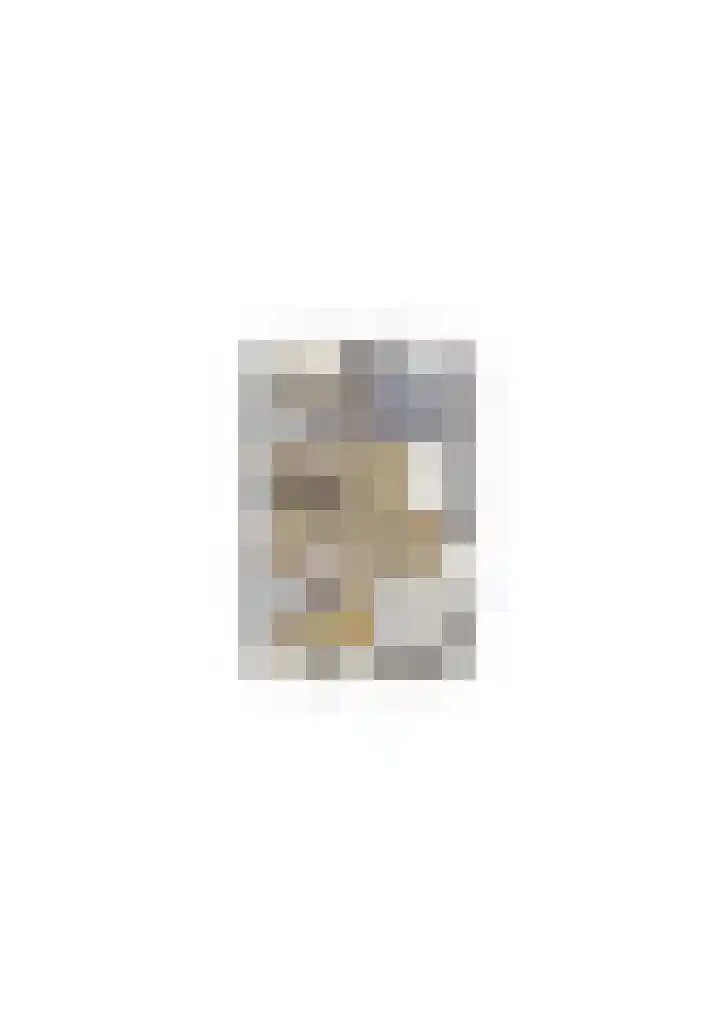Garonnelaan 11 Eindhoven thumbnail 46
