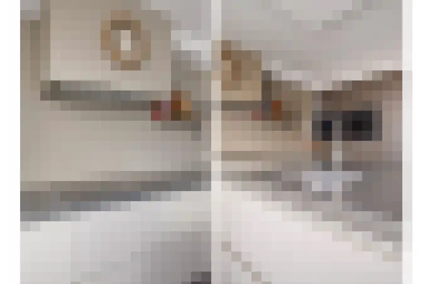 Garonnelaan 9 Eindhoven thumbnail 12