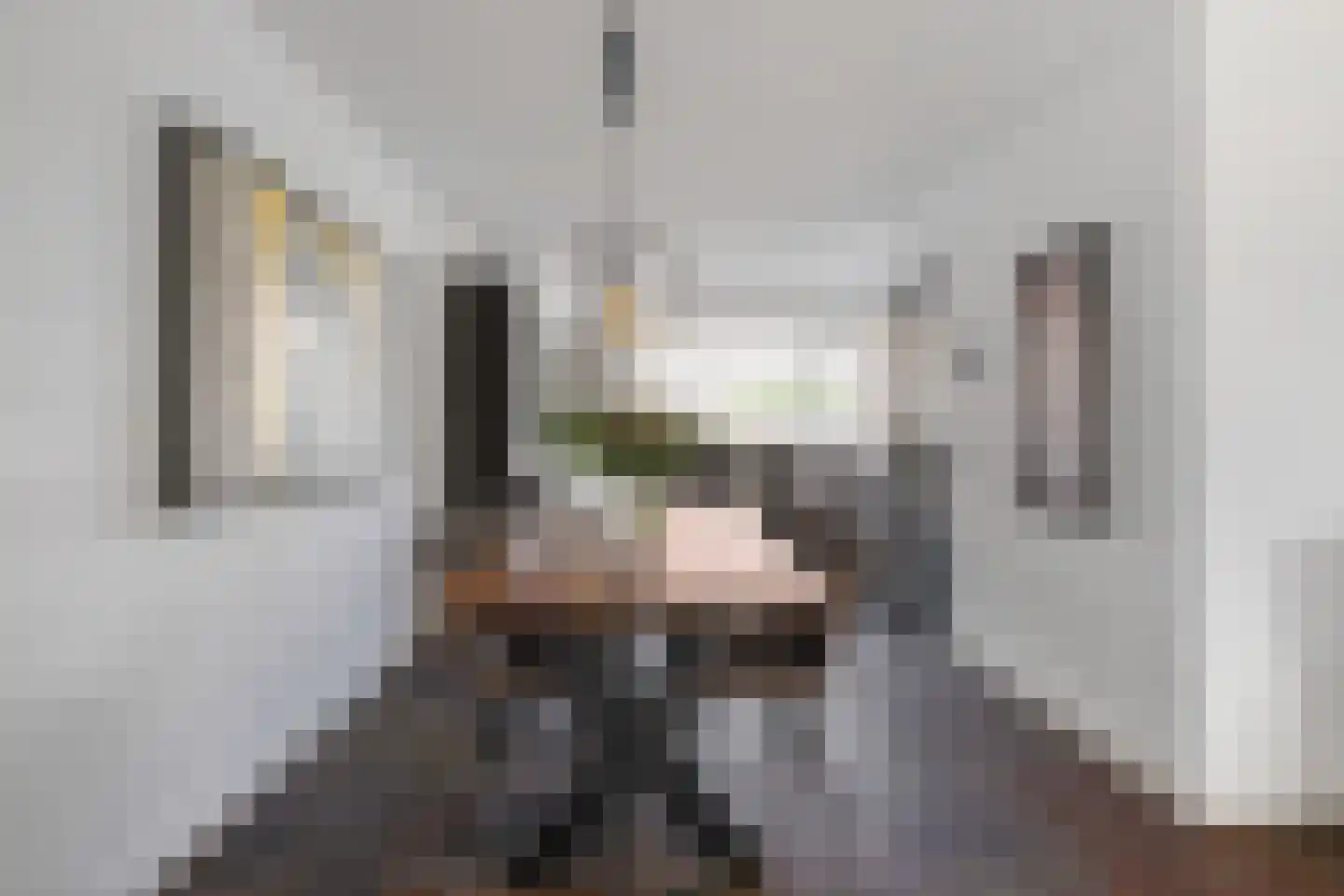 Garonnelaan 9 Eindhoven thumbnail 13