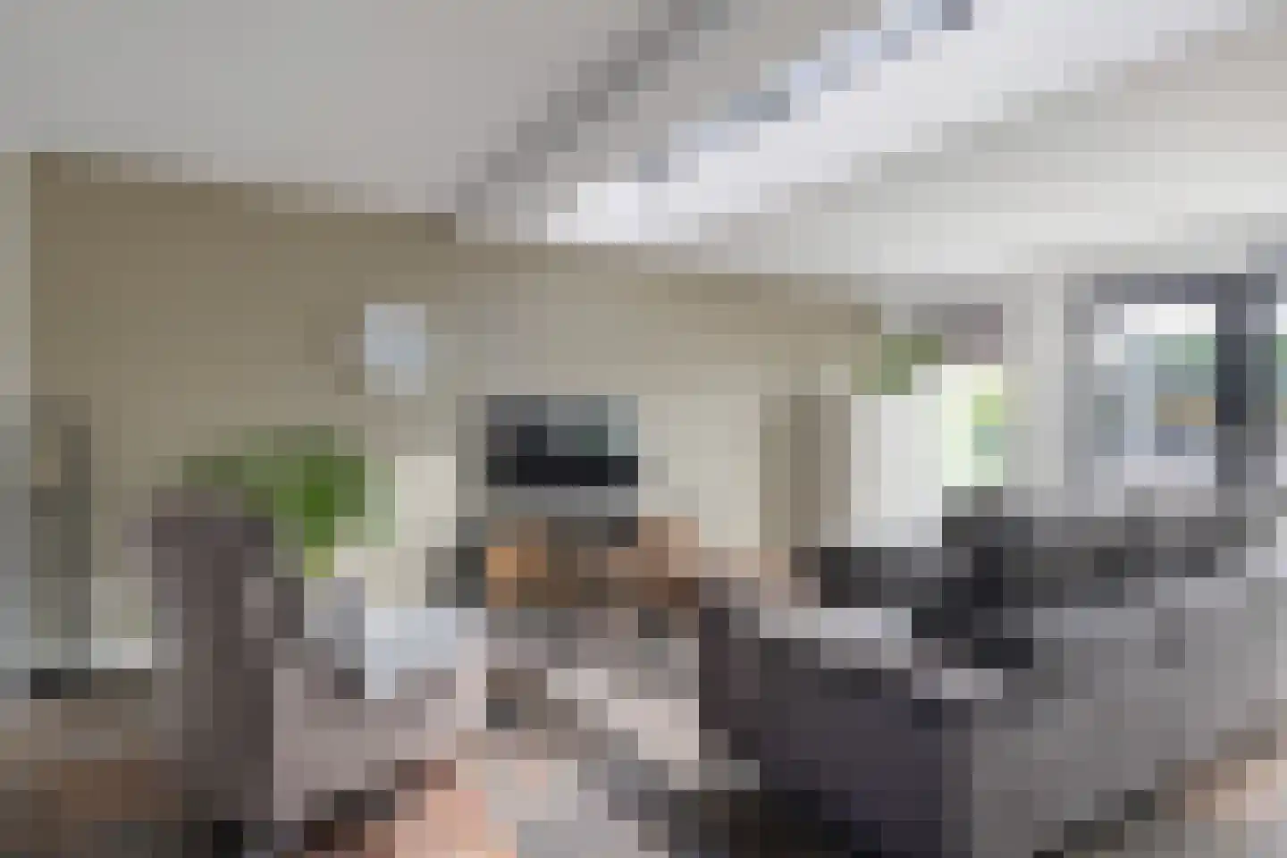 Garonnelaan 9 Eindhoven thumbnail 14