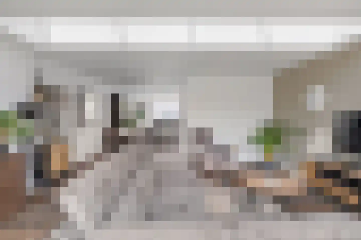 Garonnelaan 9 Eindhoven thumbnail 16