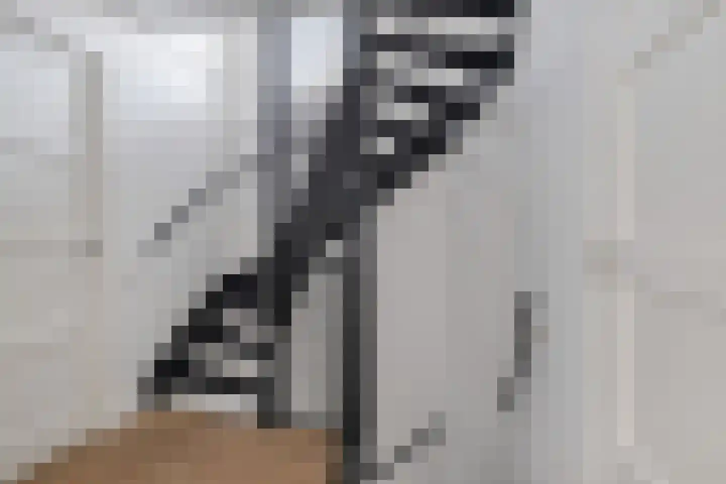 Garonnelaan 9 Eindhoven thumbnail 17