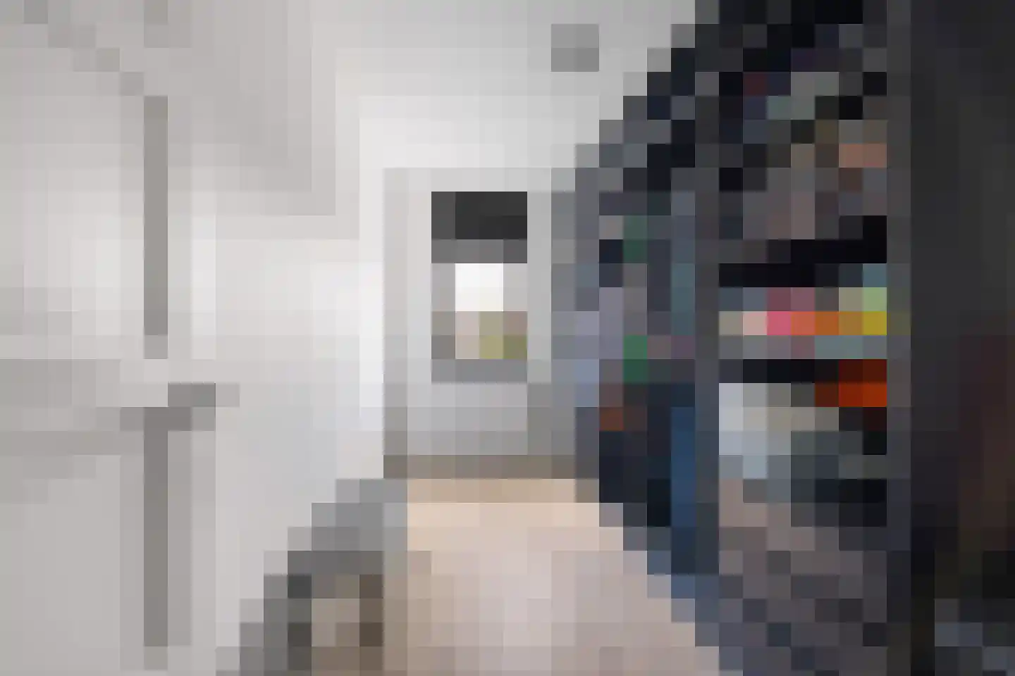 Garonnelaan 9 Eindhoven thumbnail 18