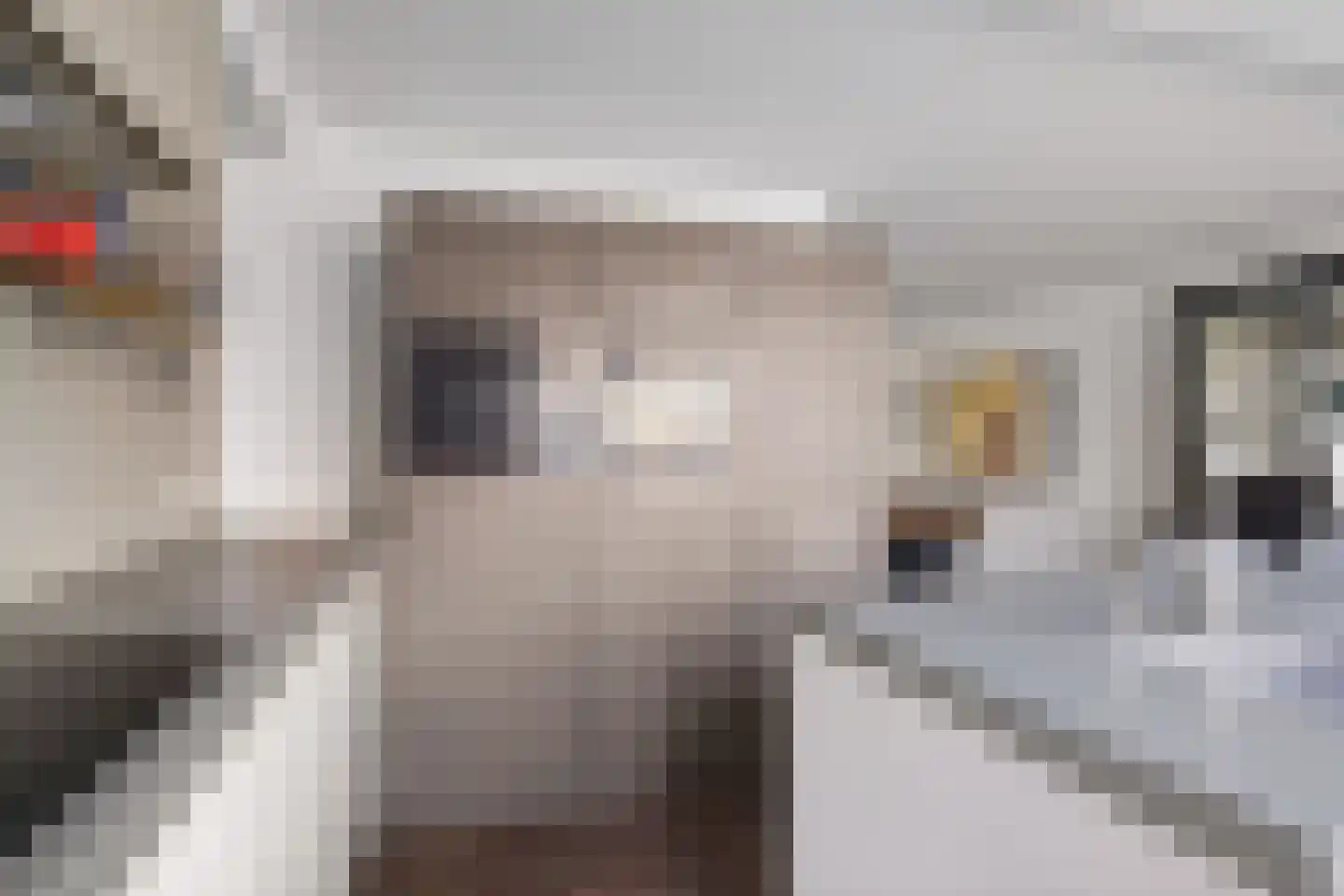 Garonnelaan 9 Eindhoven thumbnail 4