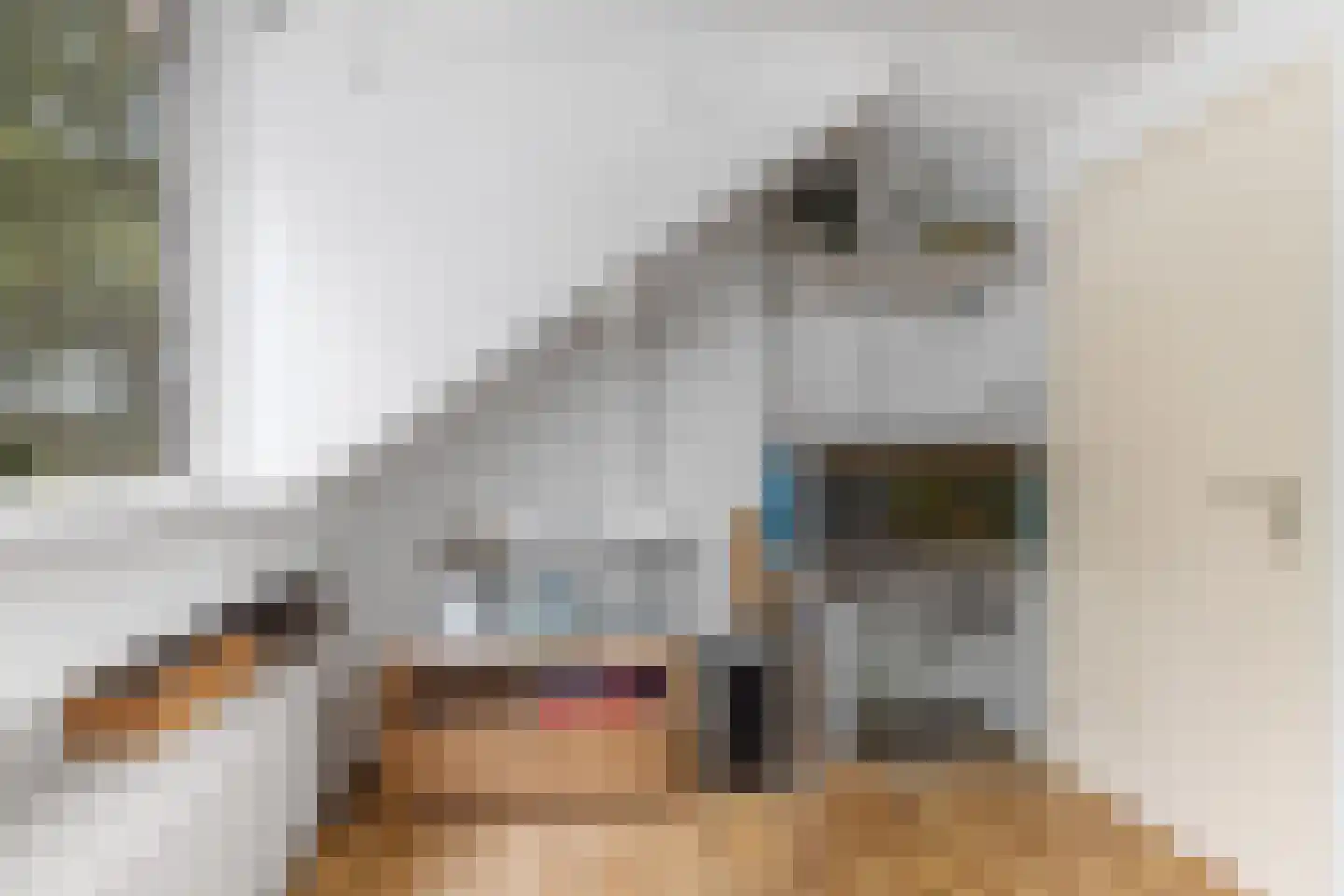 Garrit Bouwhuisstraat 16 Oldeberkoop thumbnail 16