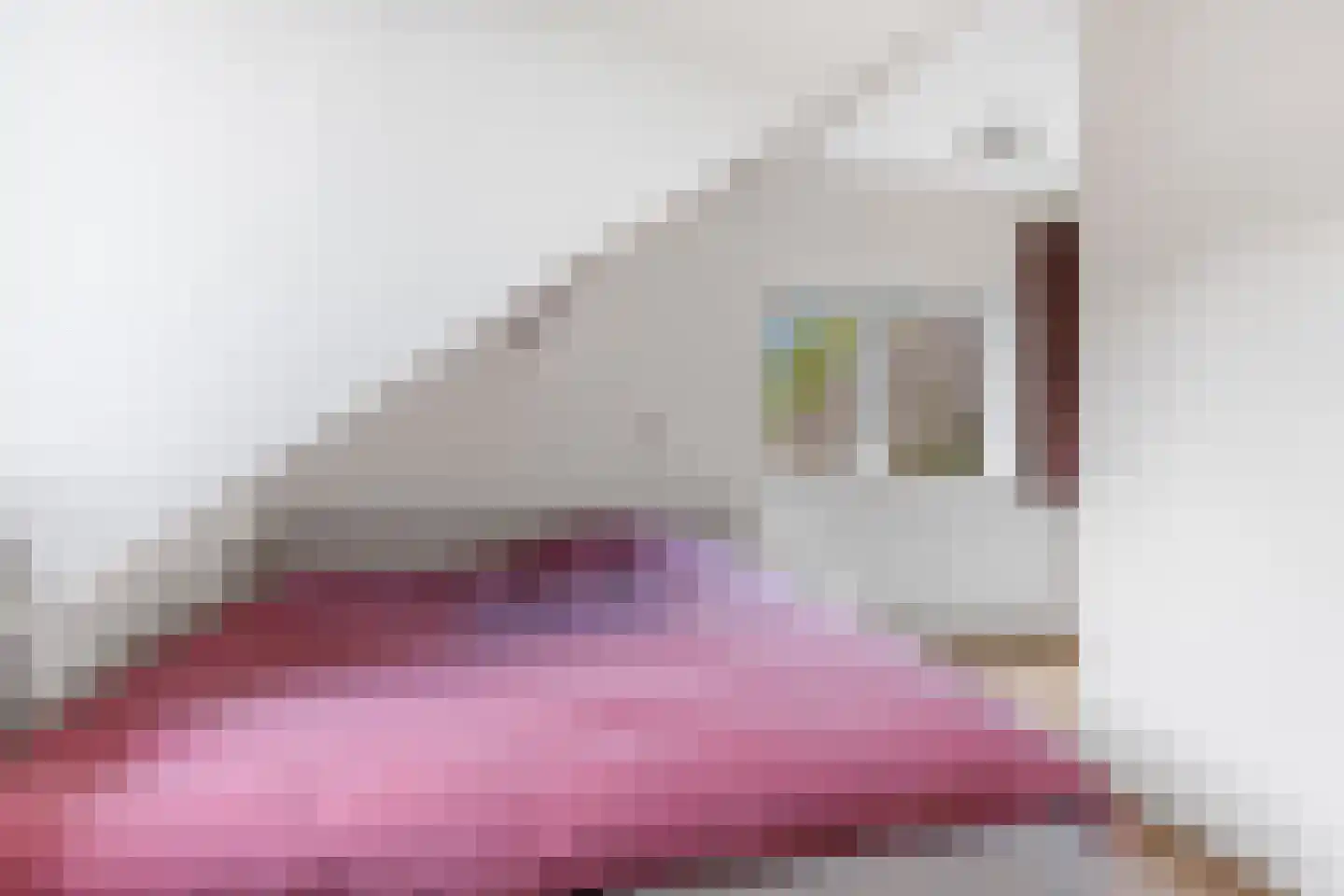 Garrit Bouwhuisstraat 16 Oldeberkoop thumbnail 18