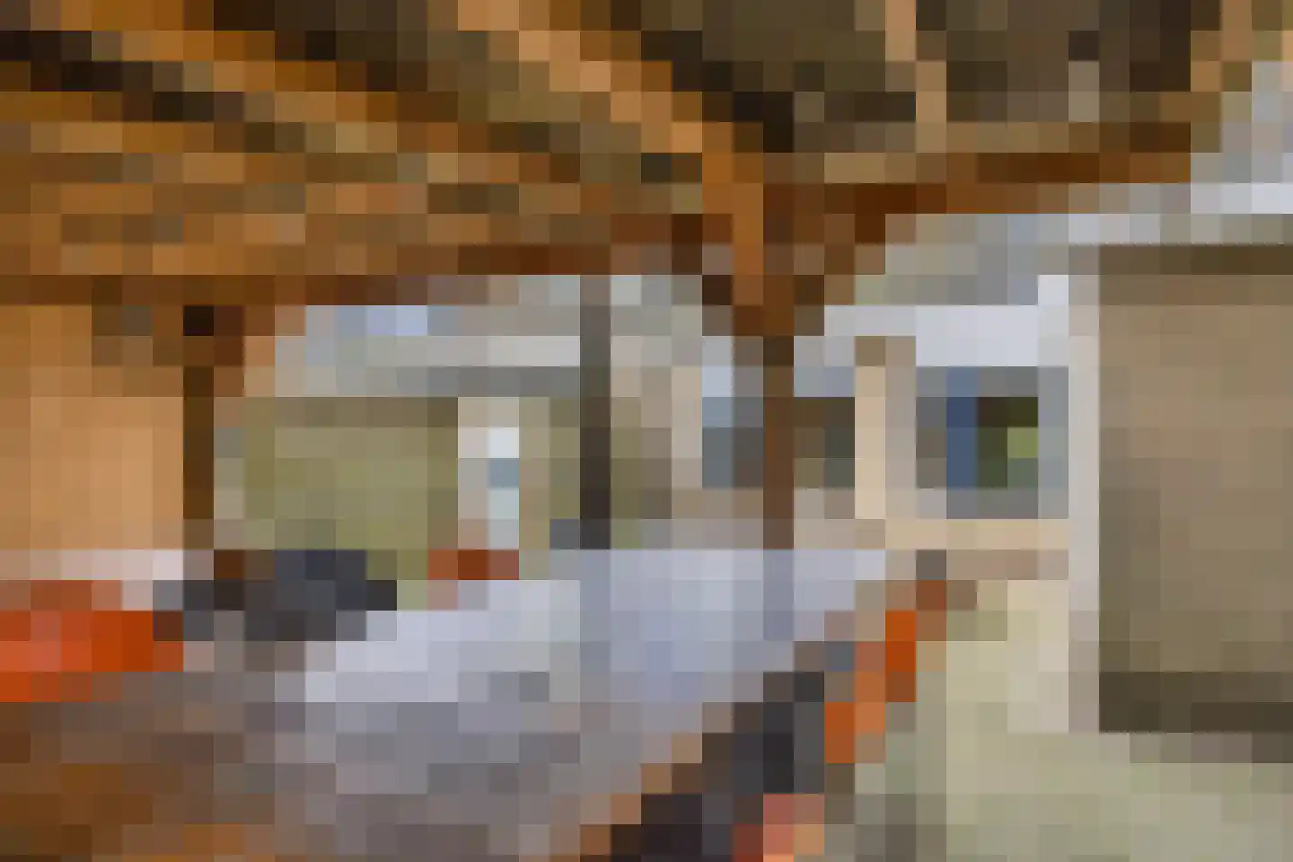 Garrit Bouwhuisstraat 16 Oldeberkoop thumbnail 29