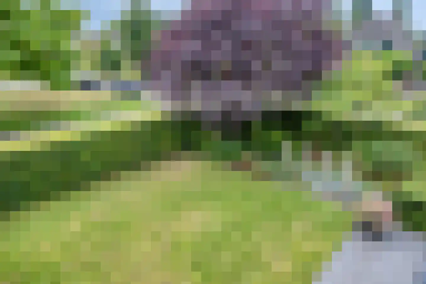 Garsenshof 17 Warnsveld thumbnail 27