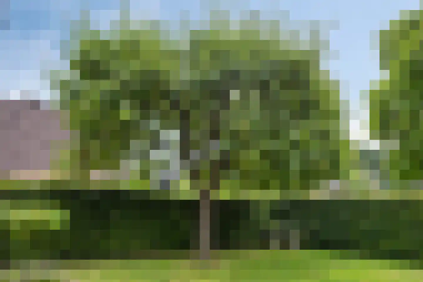 Garsenshof 17 Warnsveld thumbnail 31