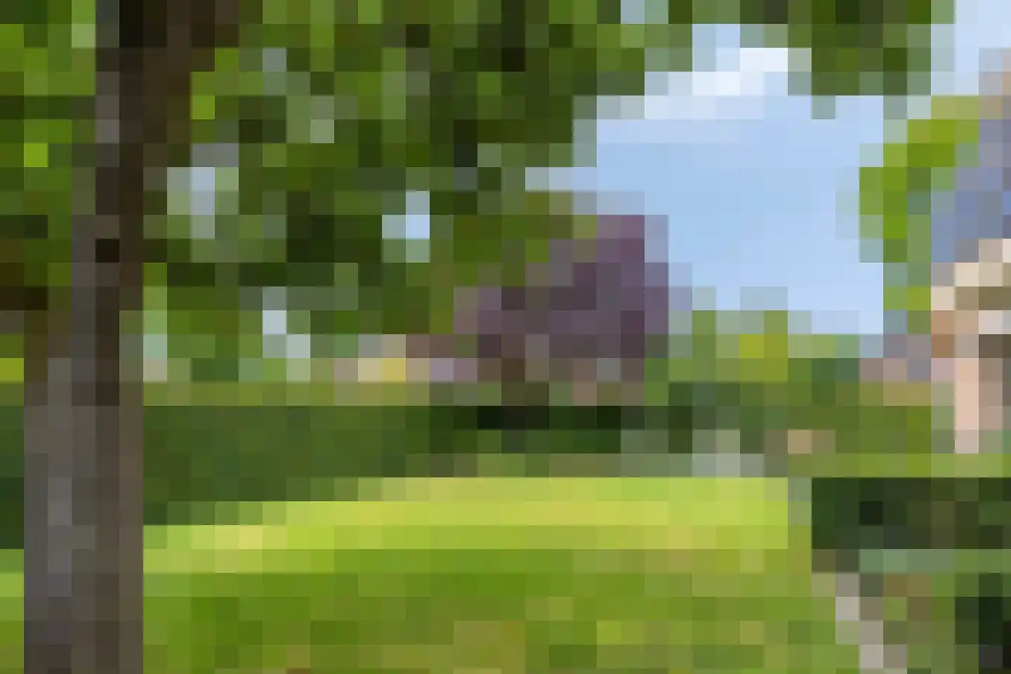 Garsenshof 17 Warnsveld thumbnail 33