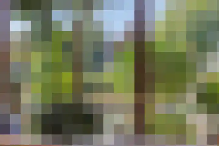 Garsenshof 21 Warnsveld thumbnail 15