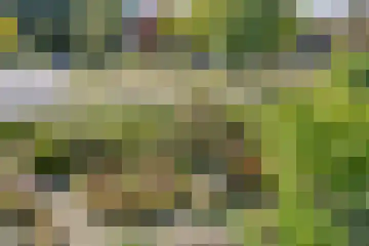 Garsenshof 21 Warnsveld thumbnail 33