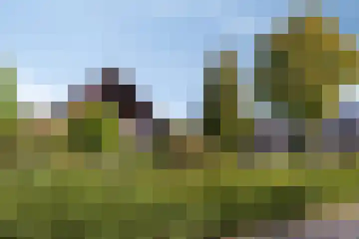 Garsenshof 21 Warnsveld thumbnail 39