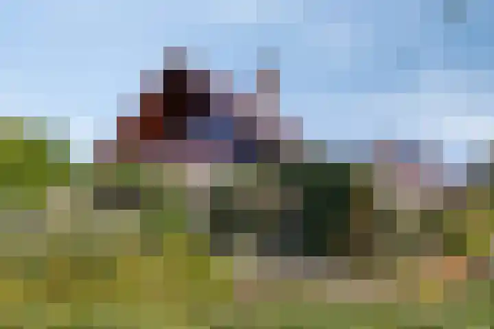 Garsenshof 21 Warnsveld thumbnail 4