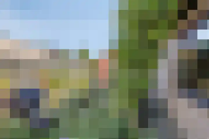 Garsenshof 21 Warnsveld thumbnail 40