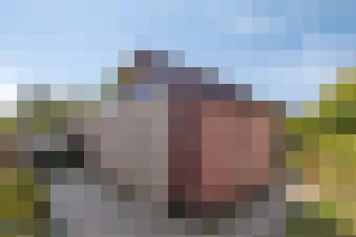 Garsenshof 21 Warnsveld thumbnail 42