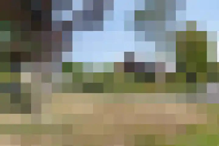 Garsenshof 21 Warnsveld thumbnail 44