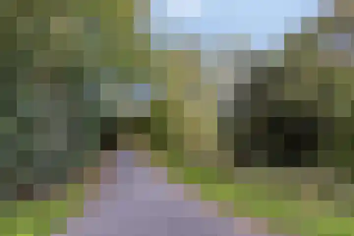 Garsenshof 21 Warnsveld thumbnail 45