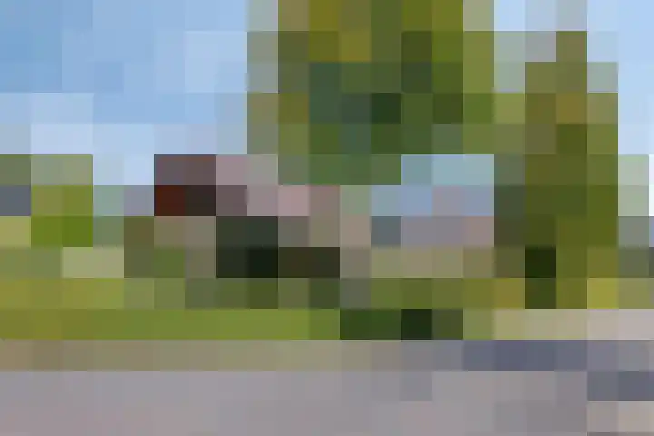 Garsenshof 21 Warnsveld thumbnail 6