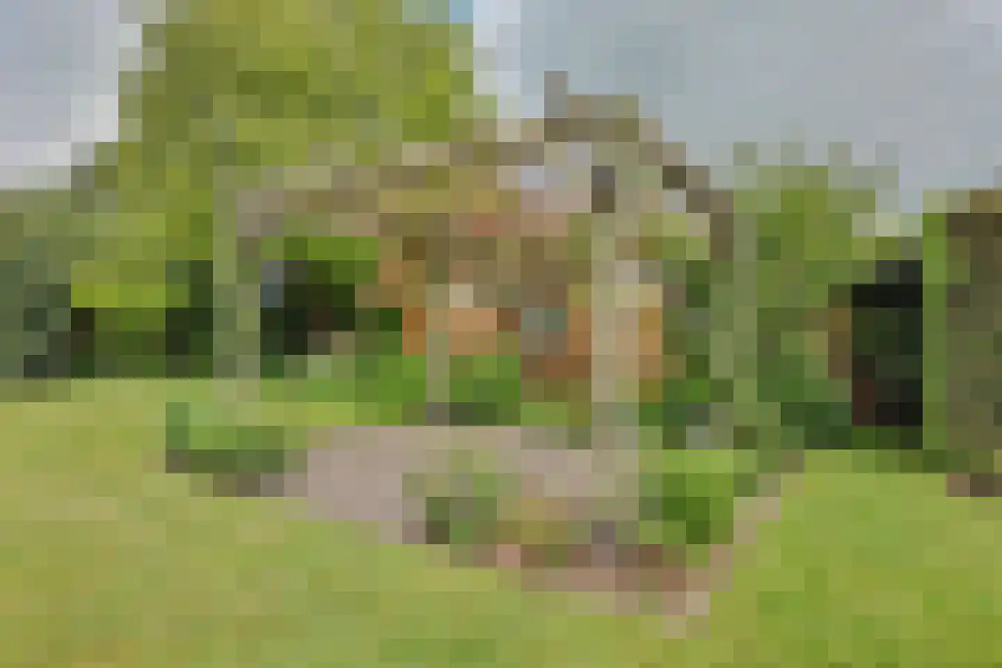 Garsenshof 27 Warnsveld thumbnail 45