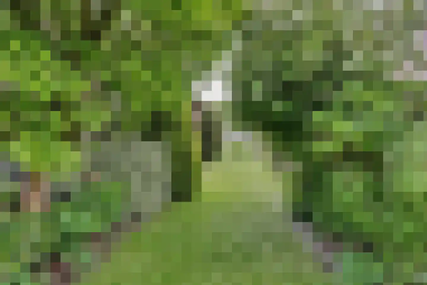 Garsenshof 27 Warnsveld thumbnail 48