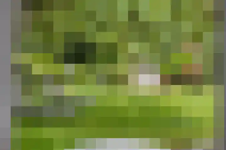 Garsenshof 56 Warnsveld thumbnail 31