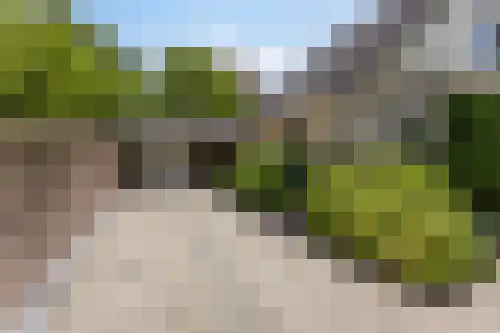 Garsenshof 56 Warnsveld thumbnail 4