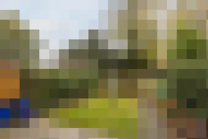 Garsenshof 56 Warnsveld thumbnail 40
