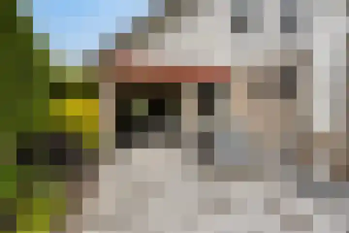 Garsenshof 56 Warnsveld thumbnail 54