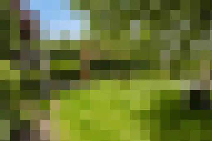 Garsenshof 56 Warnsveld thumbnail 57
