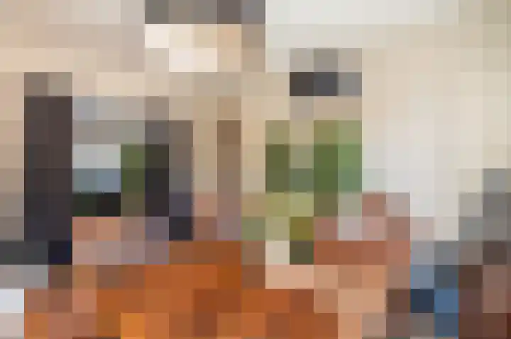 Garst 100 Winschoten thumbnail 10