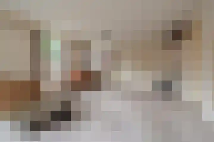 Garst 19 Winschoten thumbnail 11