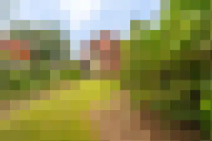 Garst 19 Winschoten thumbnail 43