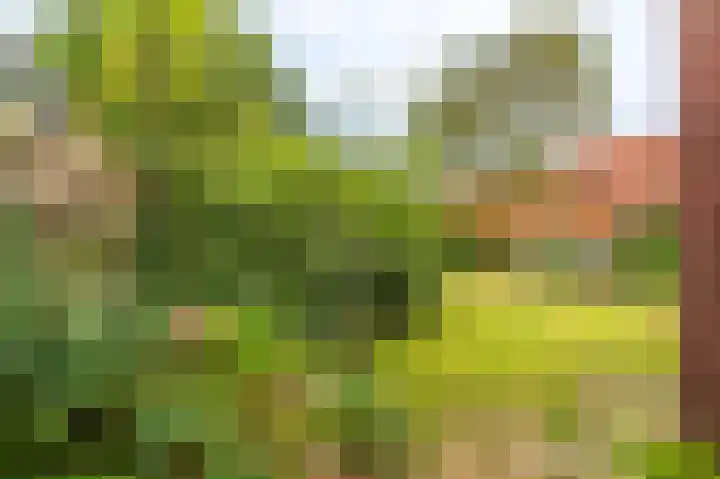 Garst 19 Winschoten thumbnail 44