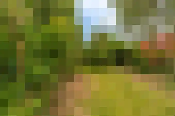 Garst 19 Winschoten thumbnail 45