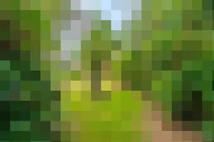 Garst 19 Winschoten thumbnail 46