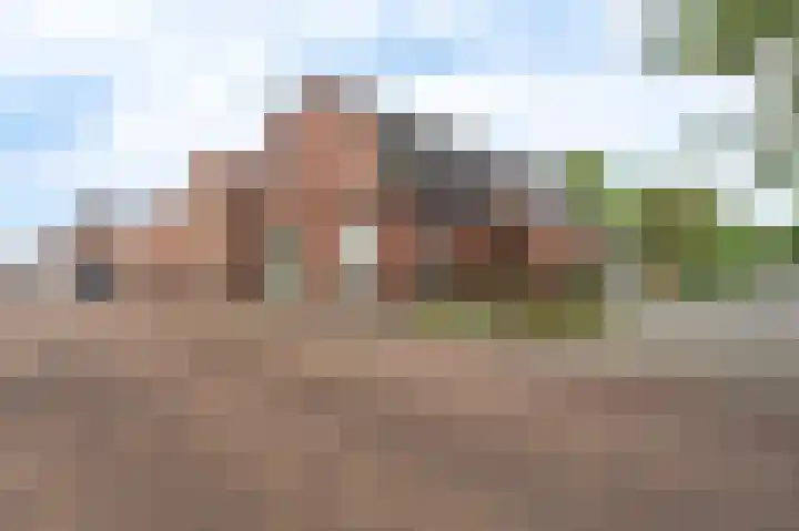 Garst 19 Winschoten thumbnail 47