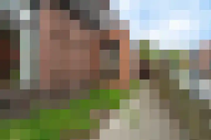 Garst 19 Winschoten thumbnail 48