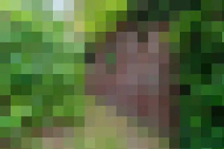 Garst 19 Winschoten thumbnail 49
