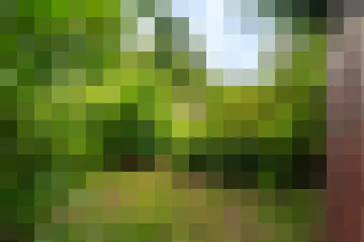 Garst 19 Winschoten thumbnail 50