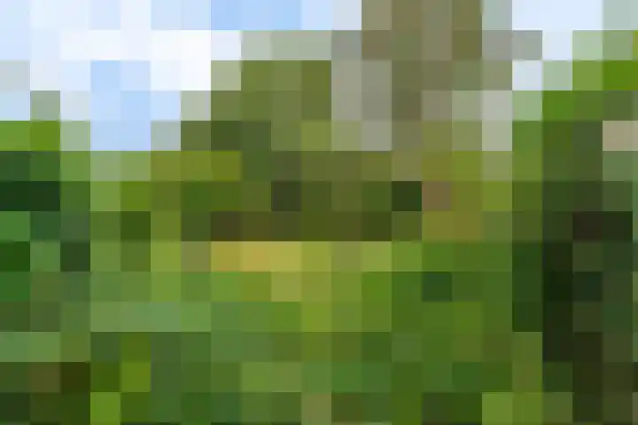 Garst 19 Winschoten thumbnail 51