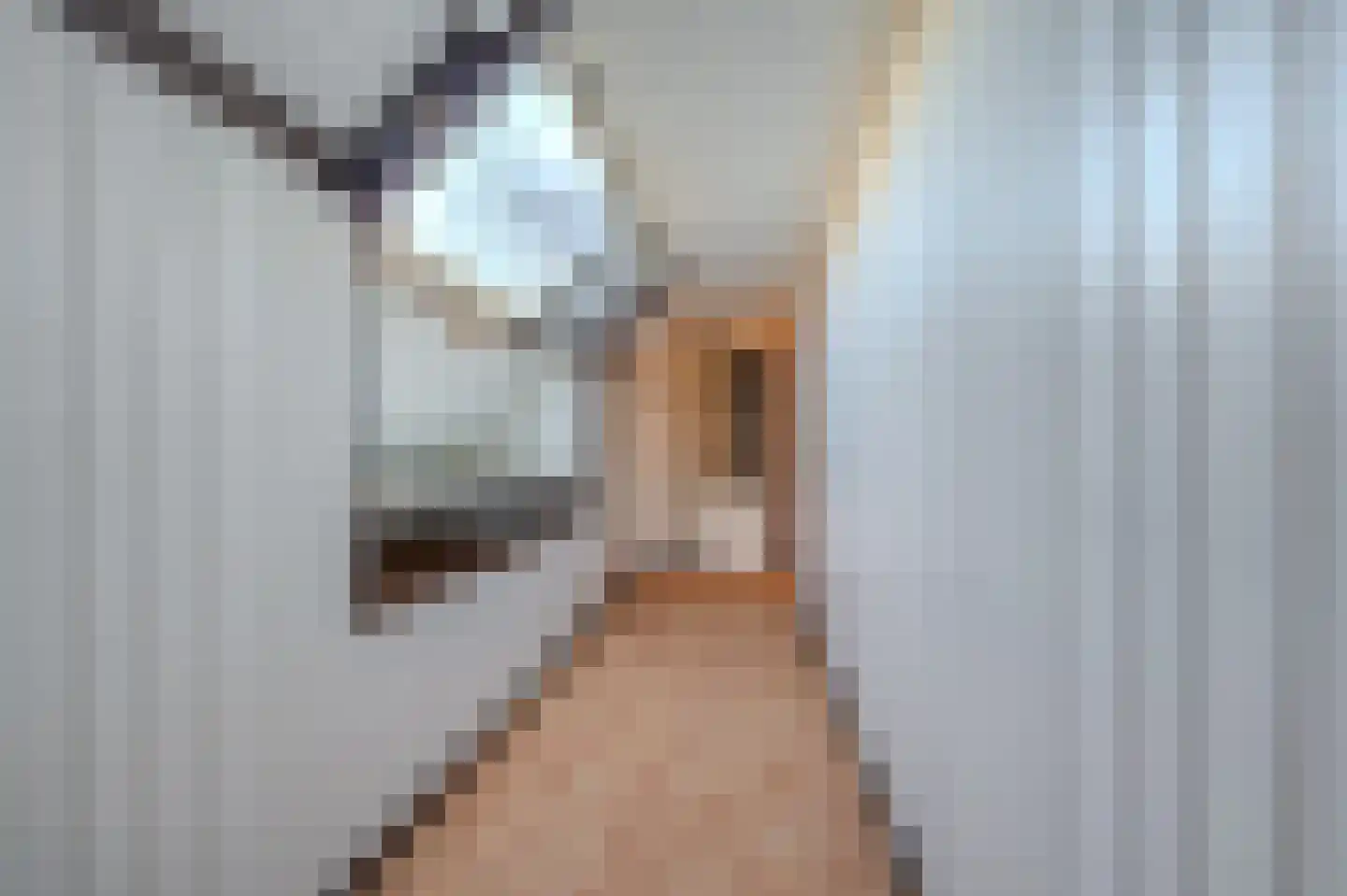 Garst 40 Winschoten thumbnail 31