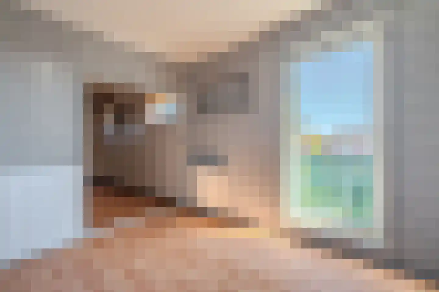 Garst 40 Winschoten thumbnail 47