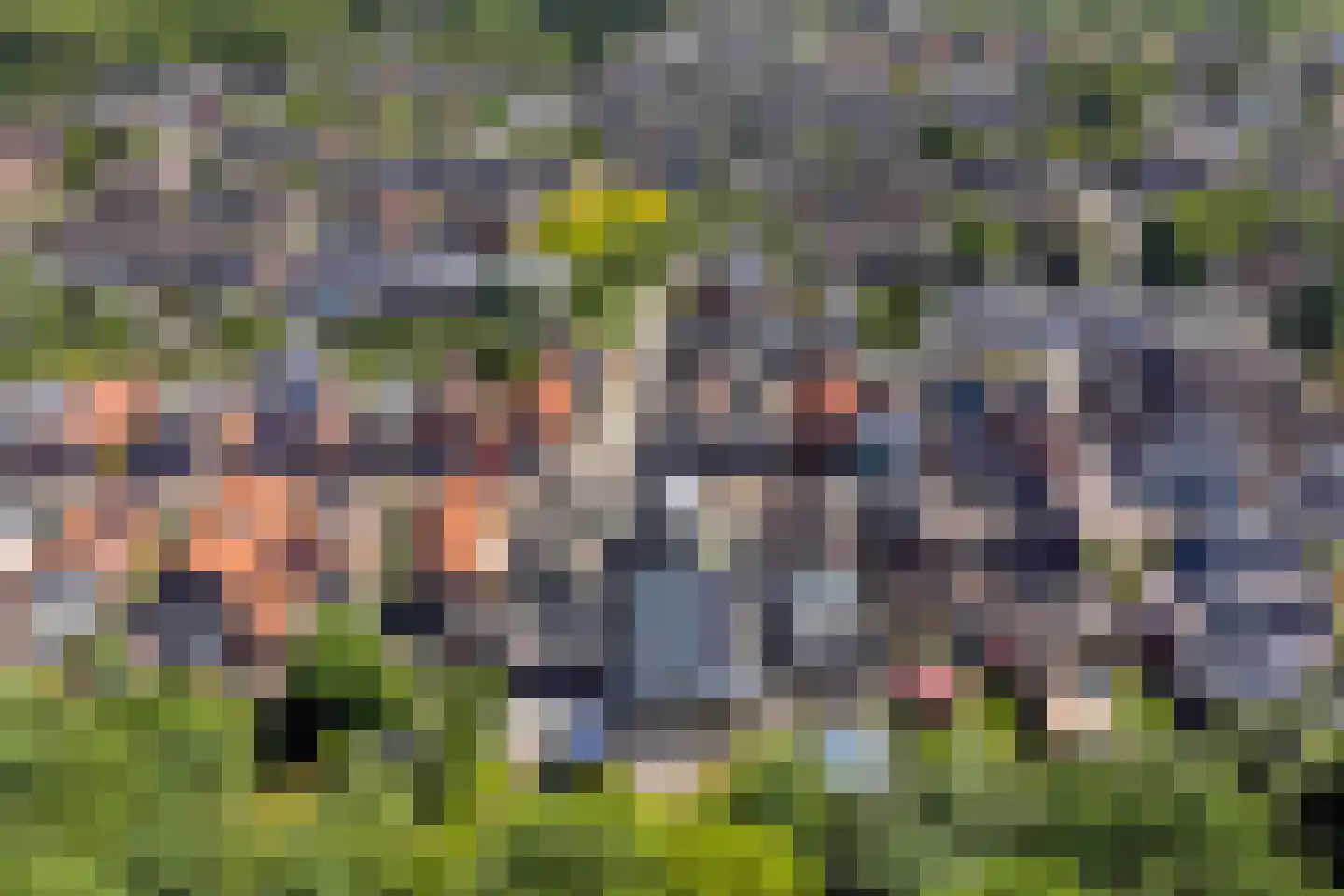 Garst 57 Winschoten thumbnail 13