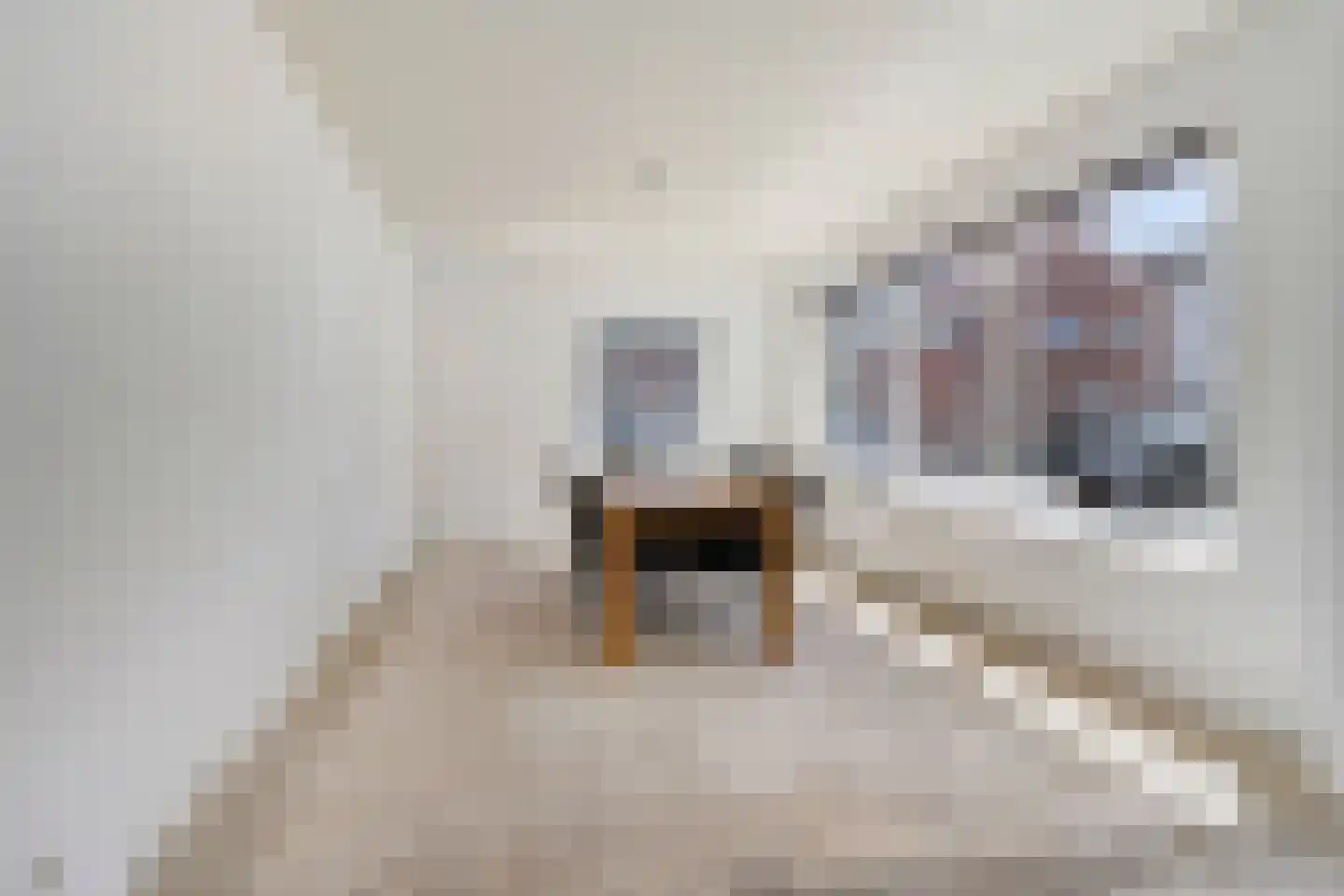 Garst 57 Winschoten thumbnail 19